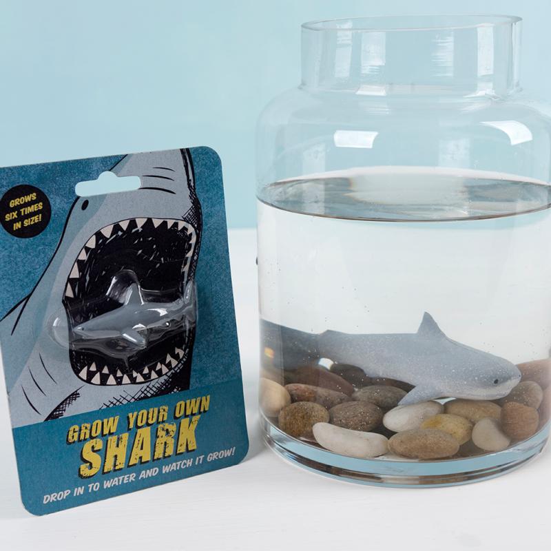 rex london Grow your own shark