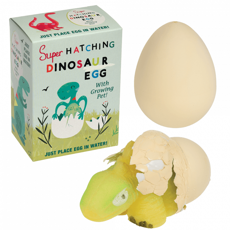 Rex London Hatch Your Own Dinosaur Egg