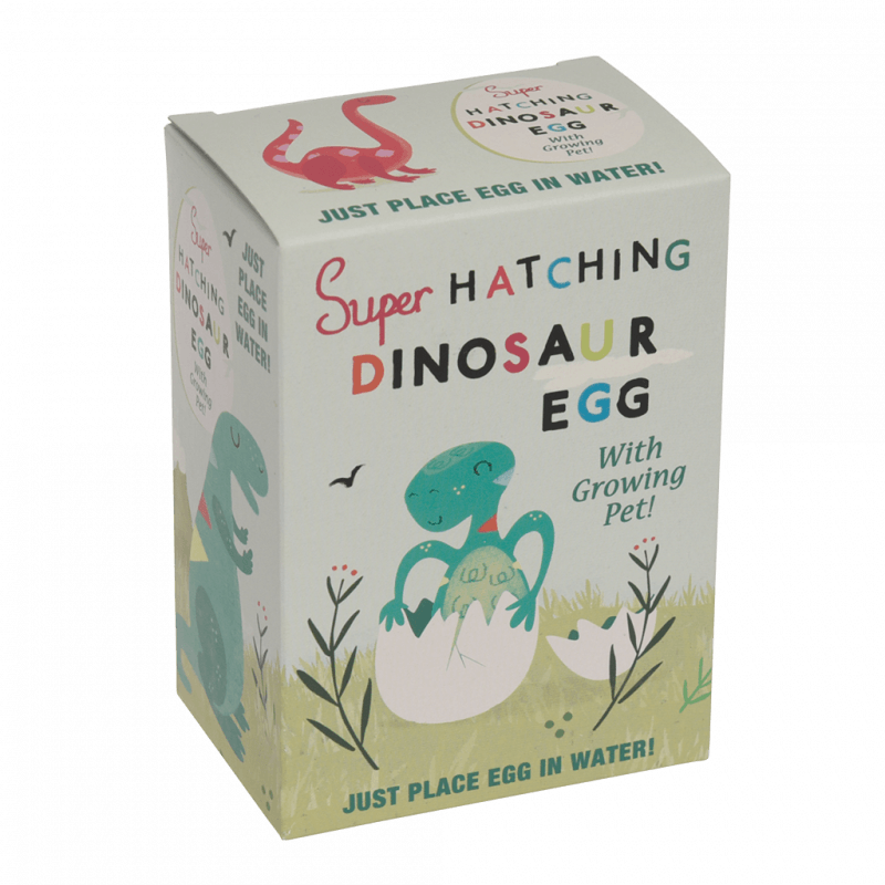 Rex London Hatch Your Own Dinosaur Egg