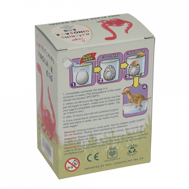 Rex London Hatch Your Own Dinosaur Egg