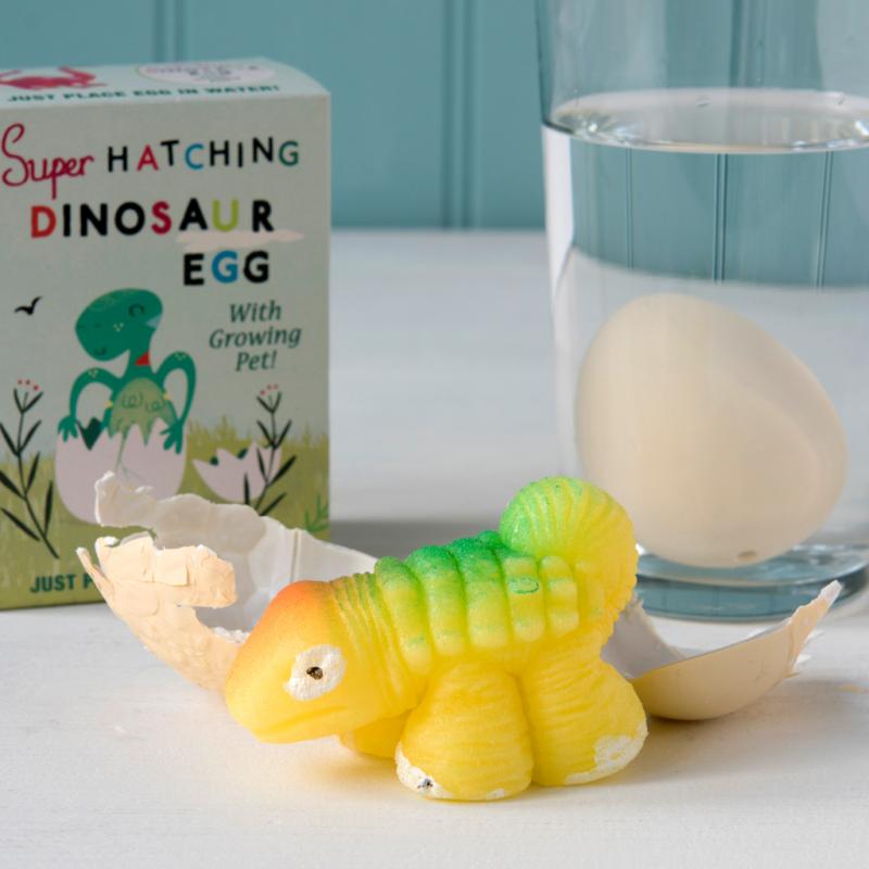 rex london Hatch your own dinosaur egg
