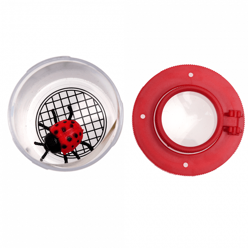 Rex London Insect Viewer - Wonders Of Nature