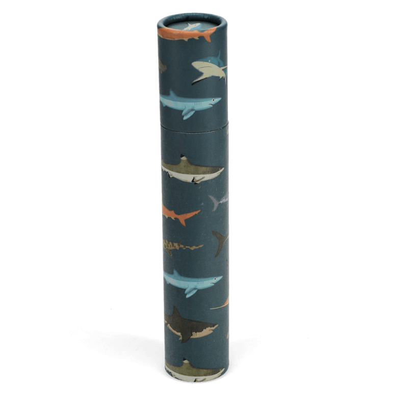 Rex London Long Tube Of Colouring Pencils - Sharks