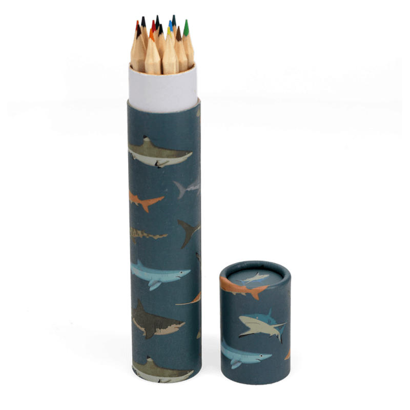 Rex London Long Tube Of Colouring Pencils - Sharks