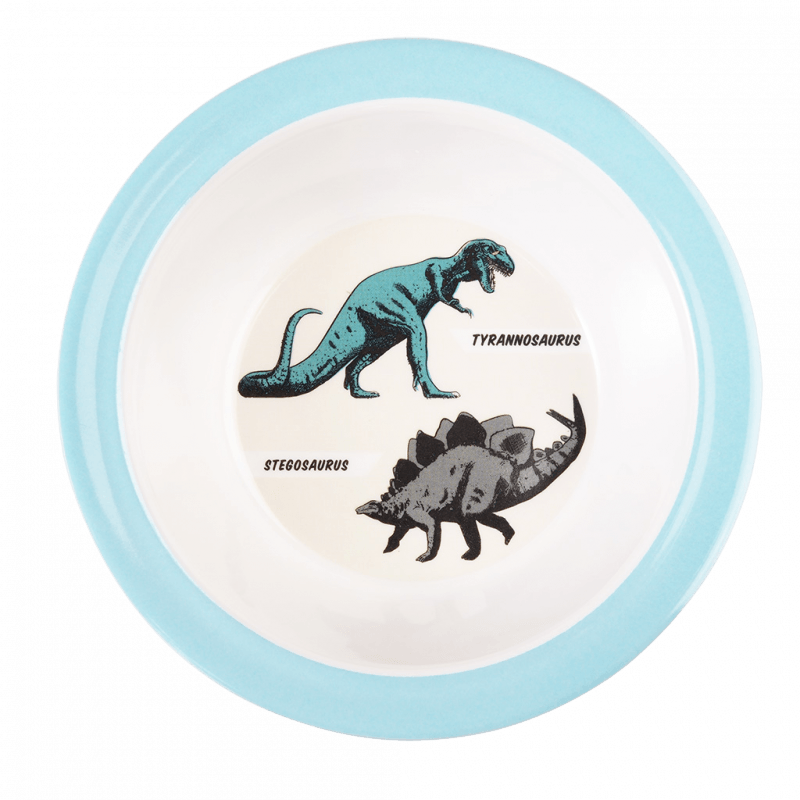 Rex London Melamine Bowl - Prehistoric Land