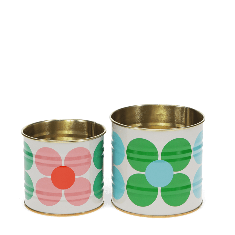 Rex London Mini Storage Tins (set Of 2) - Daisy