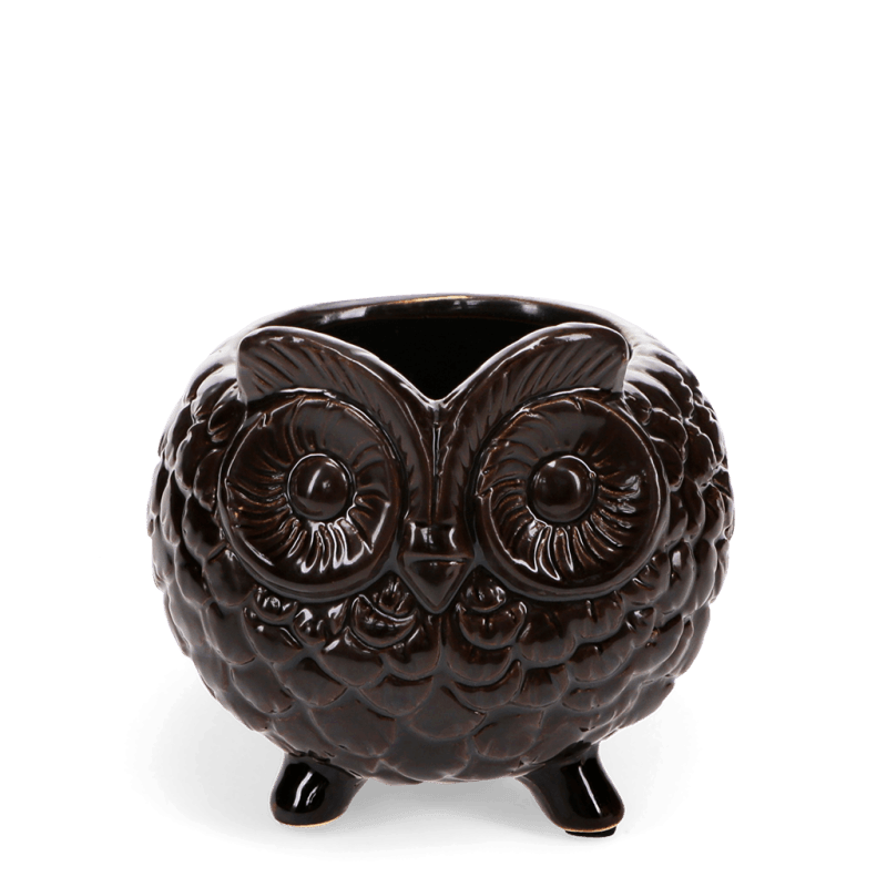 Rex London Owl Plant Pot