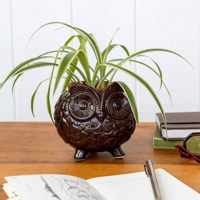 rex london Owl plant pot