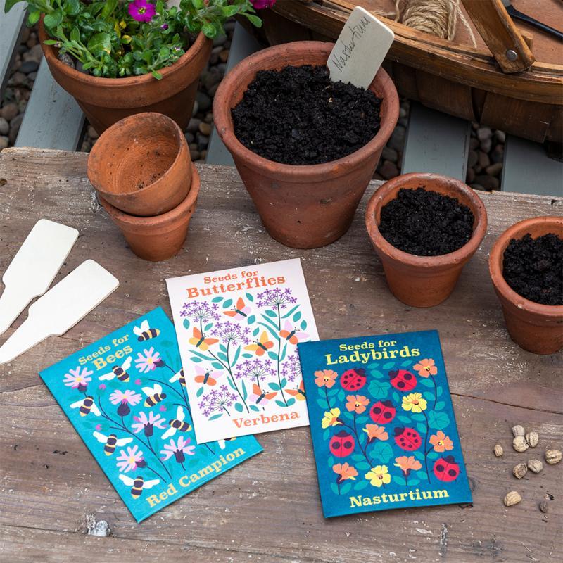 rex london Pack of flower seeds (assorted - SINGLE)
