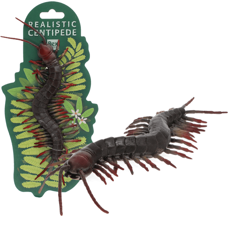 Rex London Realistic Centipede Toy