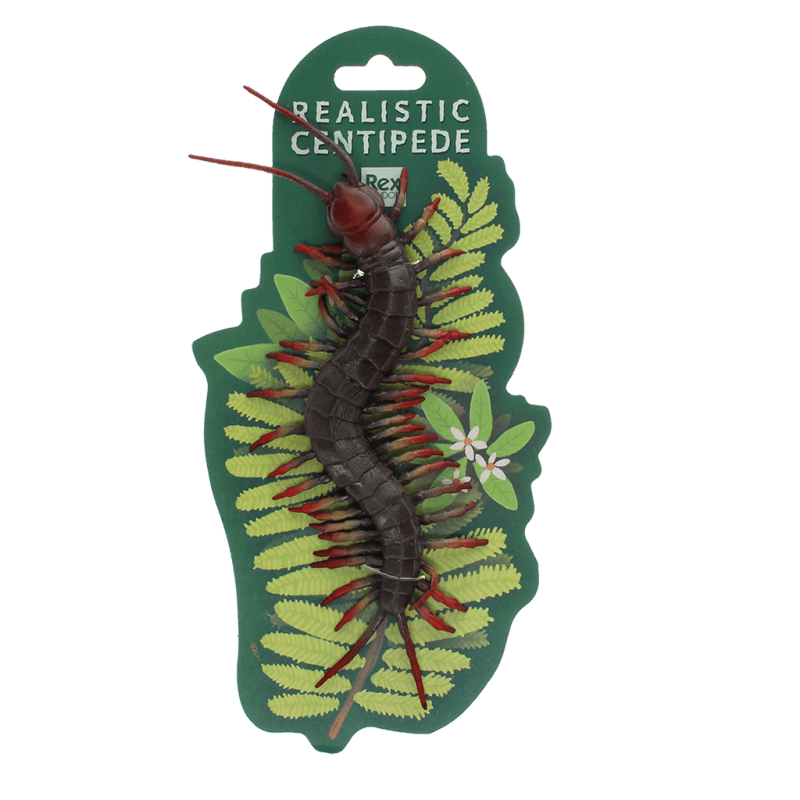 Rex London Realistic Centipede Toy