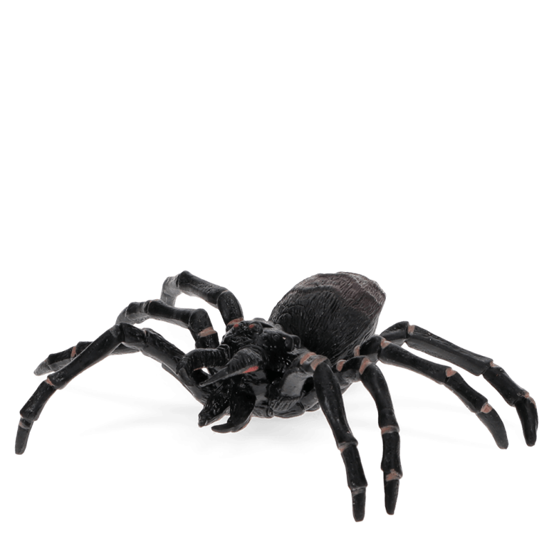 Rex London Realistic Tarantula Toy