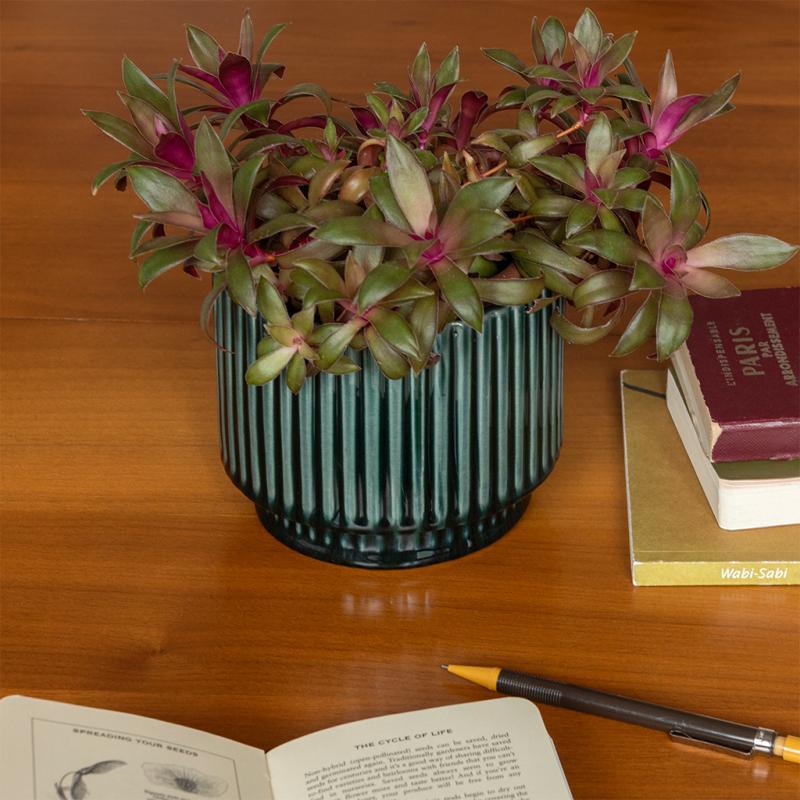 rex london Ridged plant pot - Dark Green