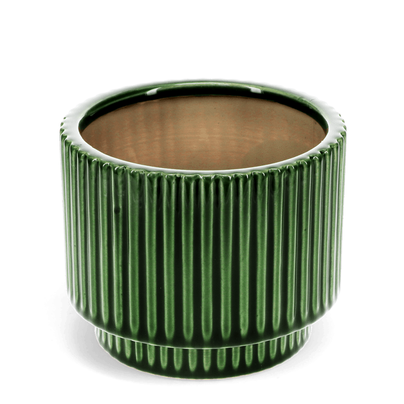 Rex London Ridged Plant Pot - Green