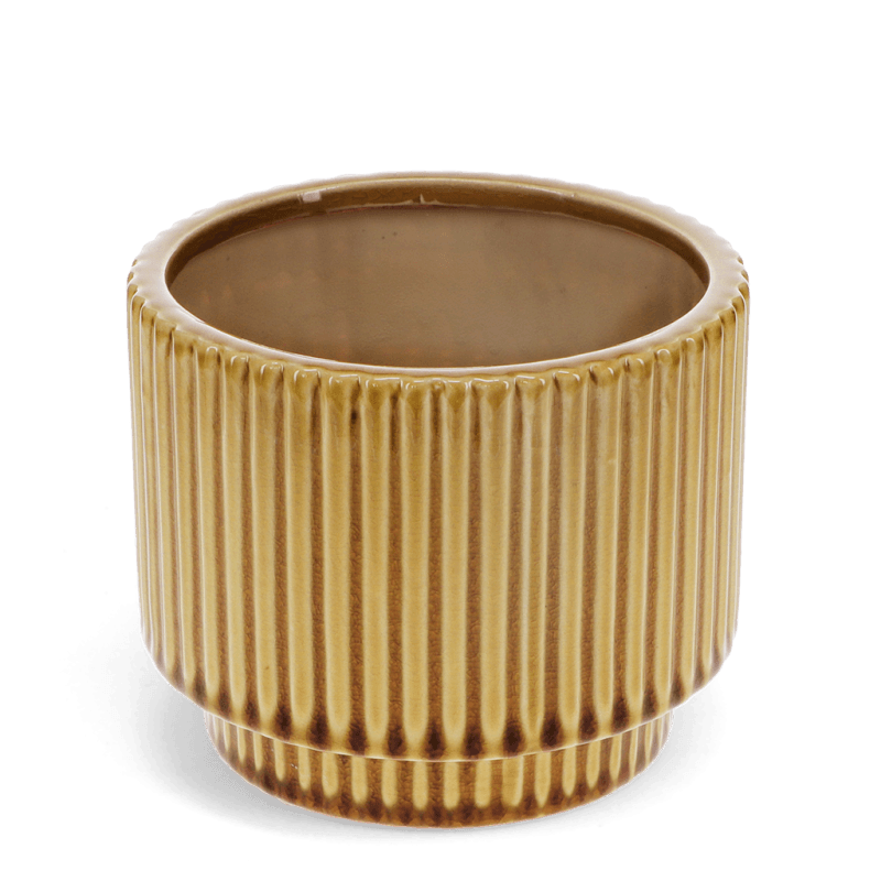 Rex London Ridged Plant Pot - Mustard