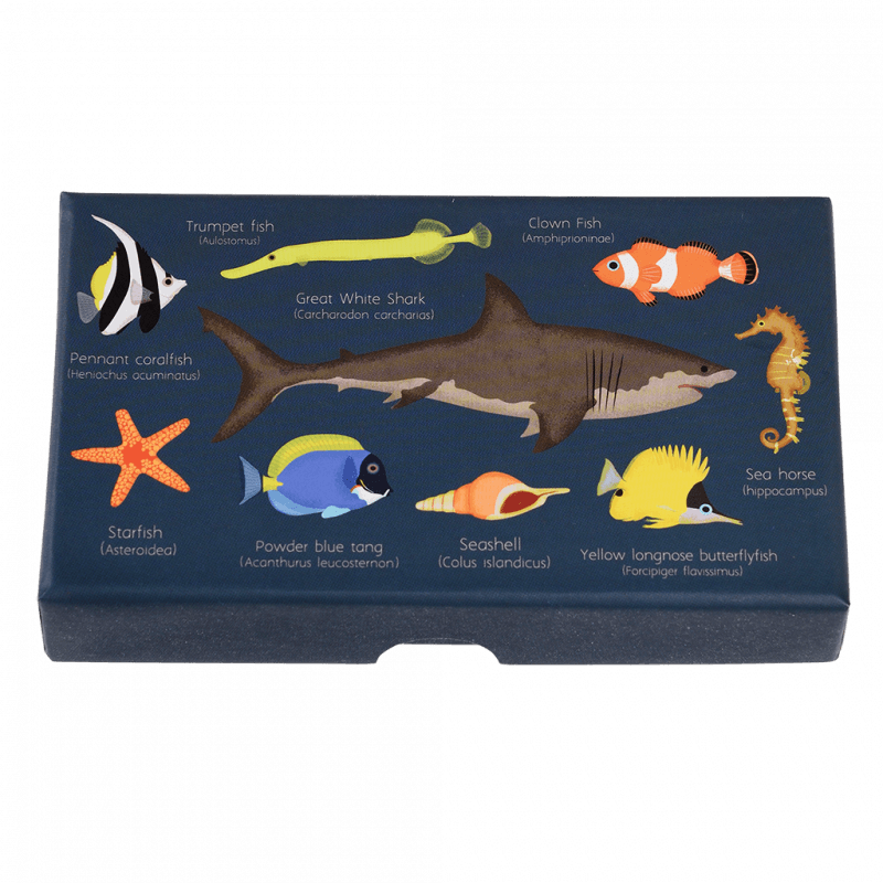 Rex London Set Of Mini Stamps - Ocean Animals
