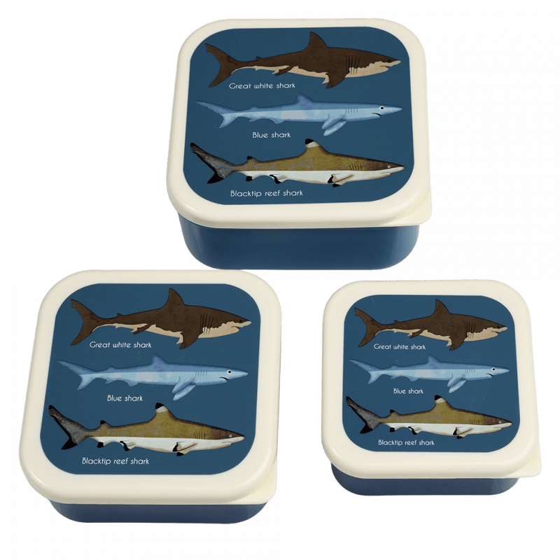 Rex London Snack Boxes (set Of 3) - Sharks