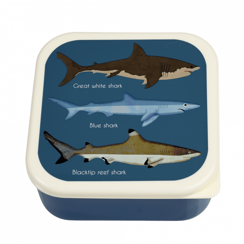 Rex London Snack Boxes (set Of 3) - Sharks