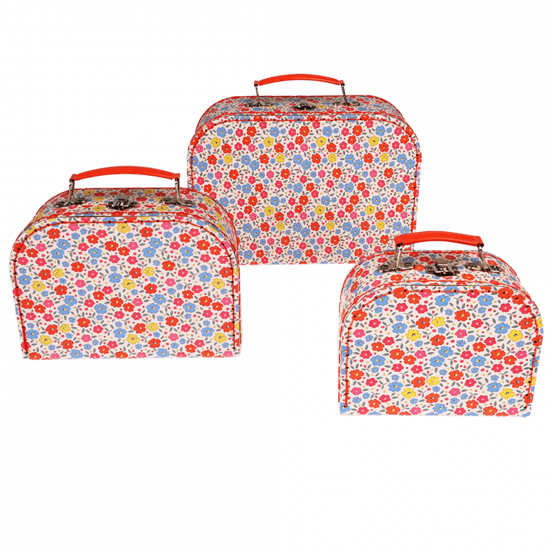 Rex London Storage Cases (set Of 3) - Tilde