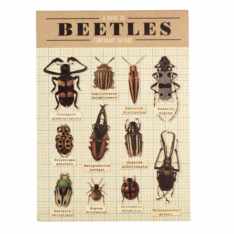 Rex London Temporary Tattoos - Beetles