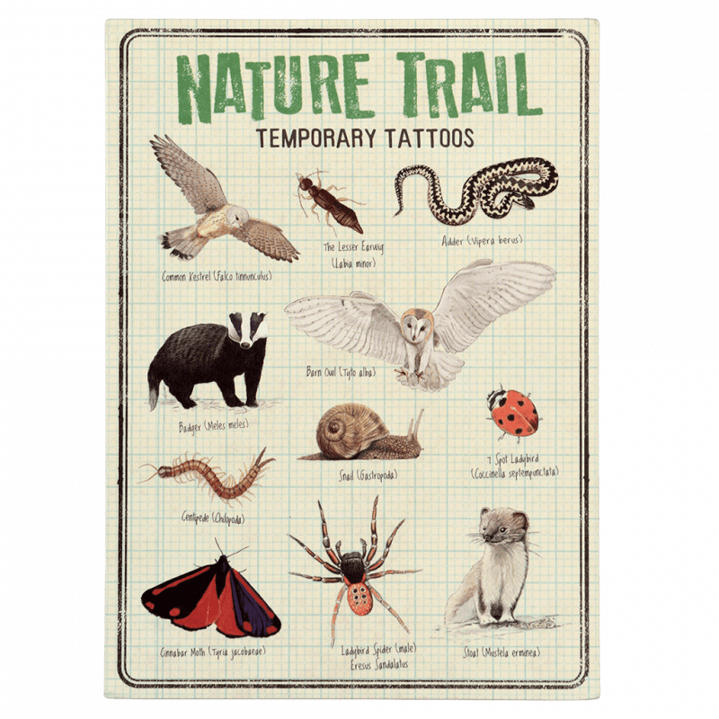 Rex London Temporary Tattoos - Nature Trail
