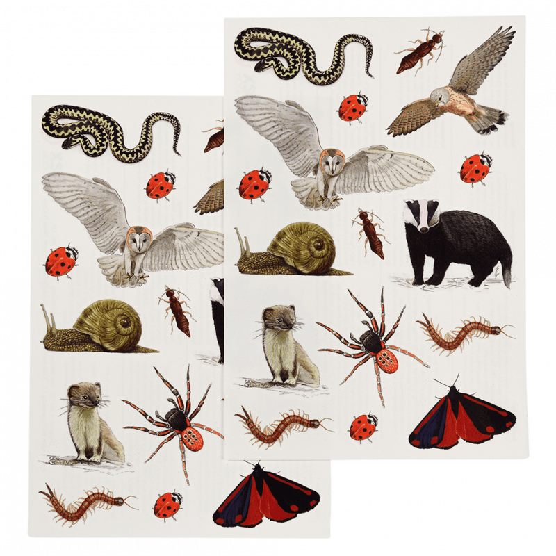 Rex London Temporary Tattoos - Nature Trail