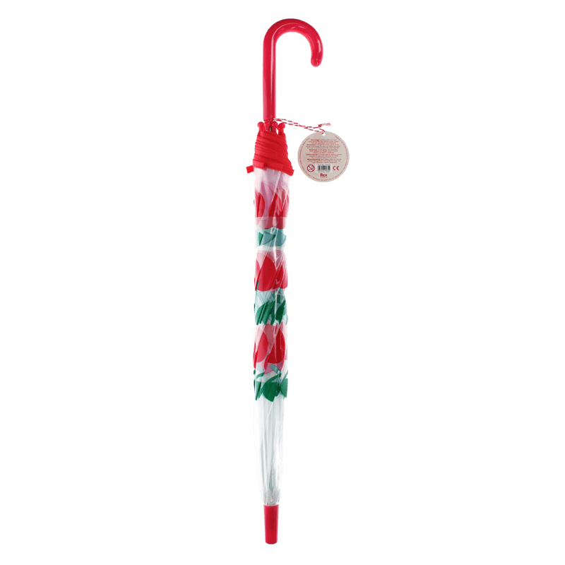 Rex London Transparent Umbrella - Cherry