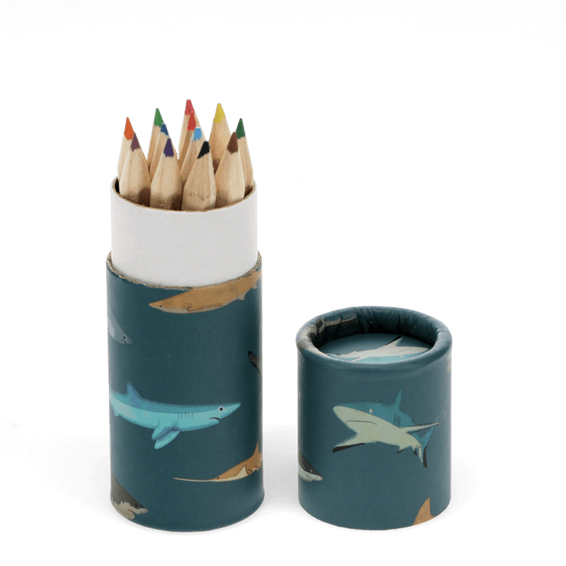 Rex London Tube Of Colouring Pencils - Sharks