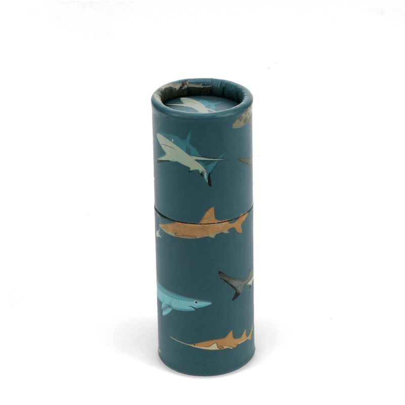 Rex London Tube Of Colouring Pencils - Sharks