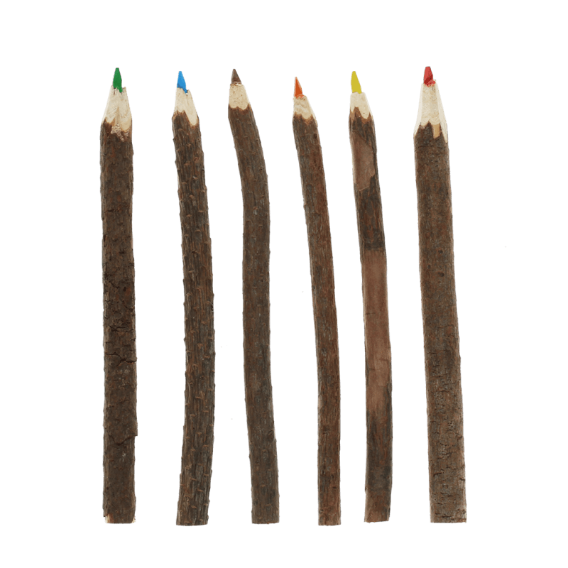 Rex London Twig Colouring Pencils (set Of 6)