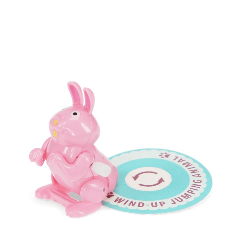 Rex London Wind-up Jumping Animal Toy - Bunny