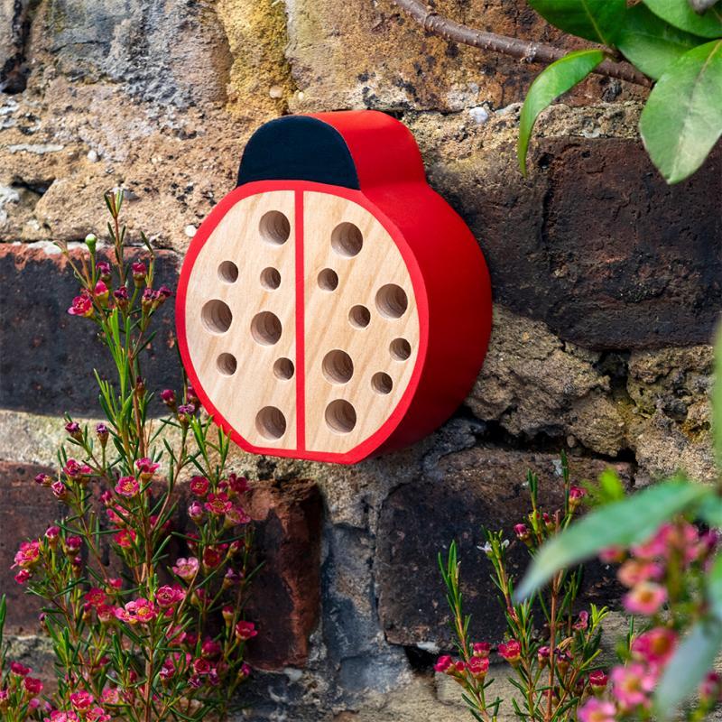 rex london Wooden bug hotel - Ladybird