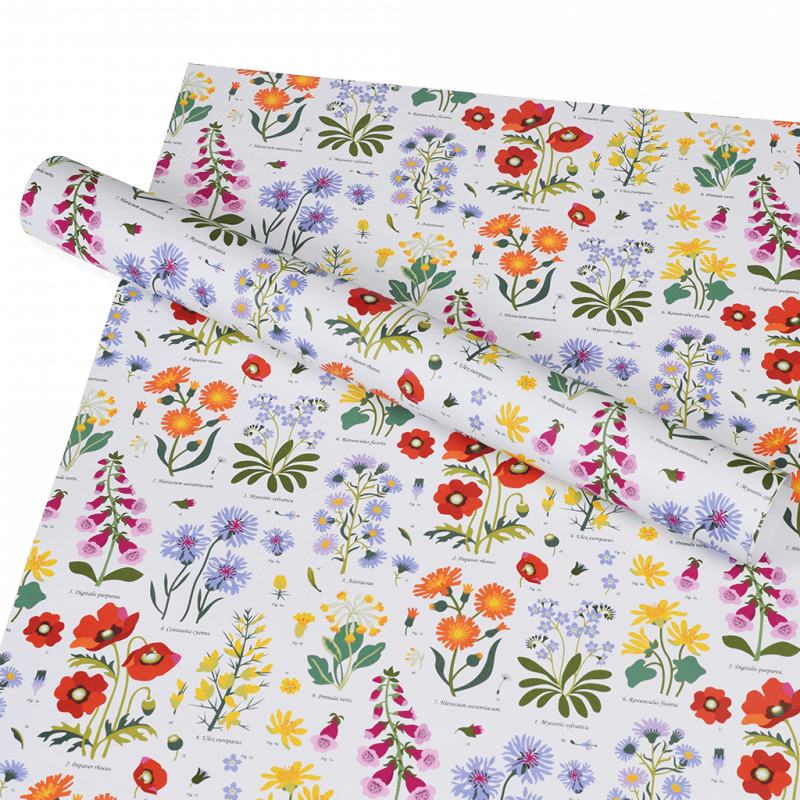 Rex London Wrapping Paper (5 Sheets) - Wild Flowers
