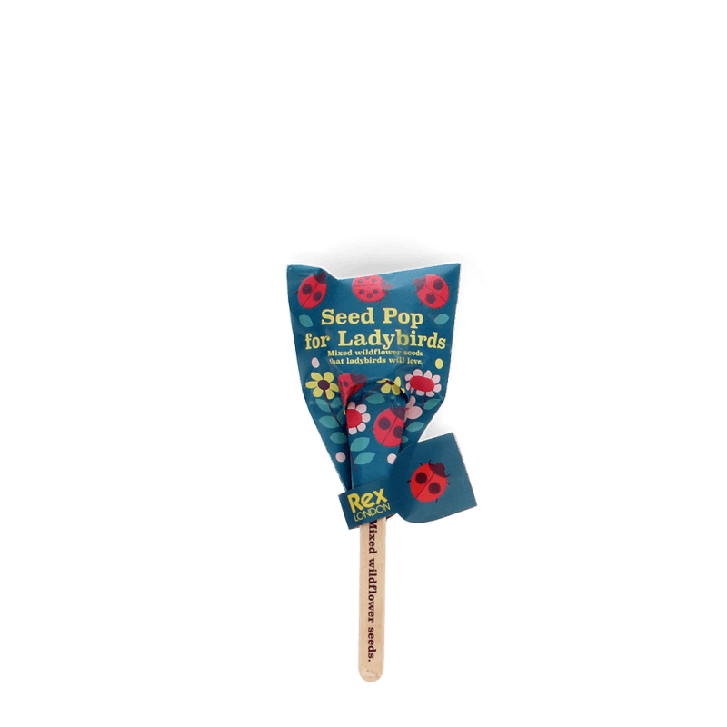 Rex London Seed Pops - Wildflower Seeds (assorted - SINGLE)