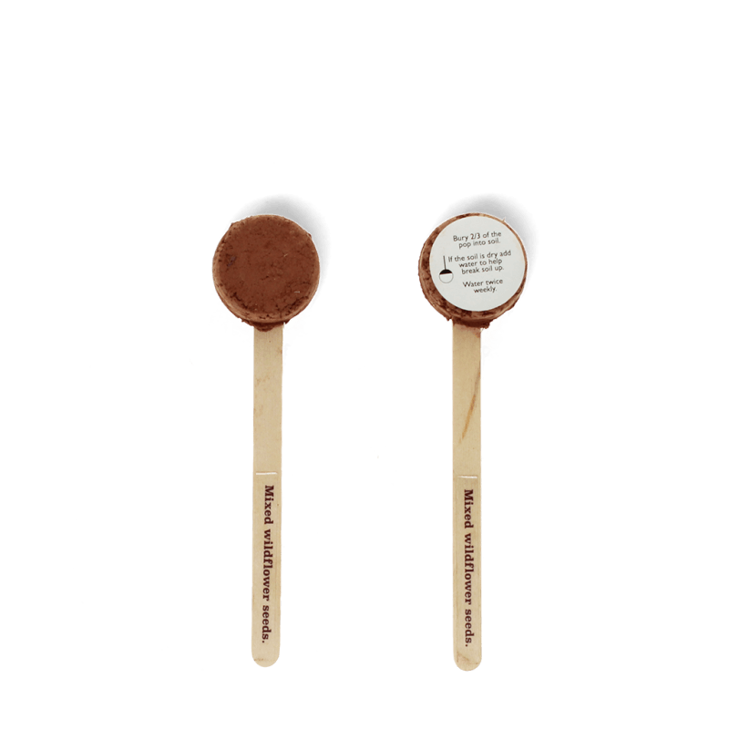 Rex London Seed Pops - Wildflower Seeds (assorted - SINGLE)