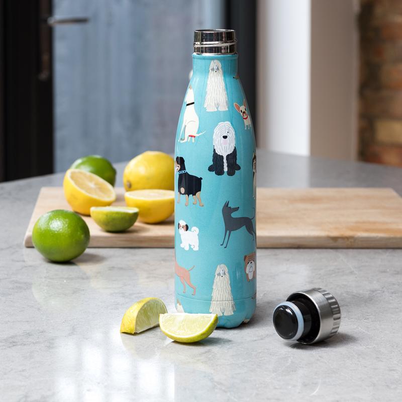 rex london Water bottle - Best in Show (stainless steel 500ml)