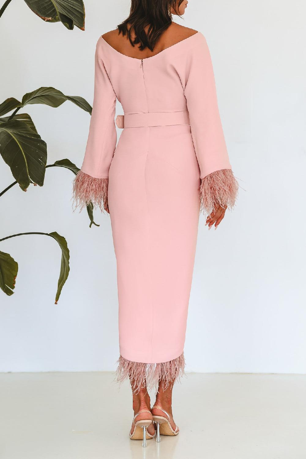 Rhea Costa Mona Feathers Trimmed Blush Crepe Dress