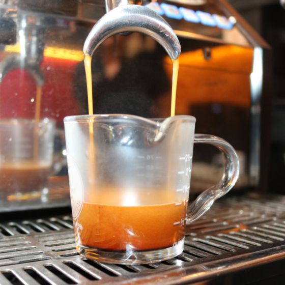 Rhino Coffee Gear Rhino Shot Glass - Double Spout