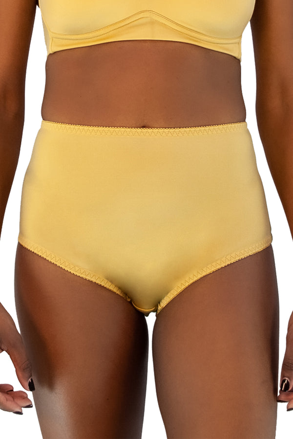 Rhonda Shear High Waist Brief Panty