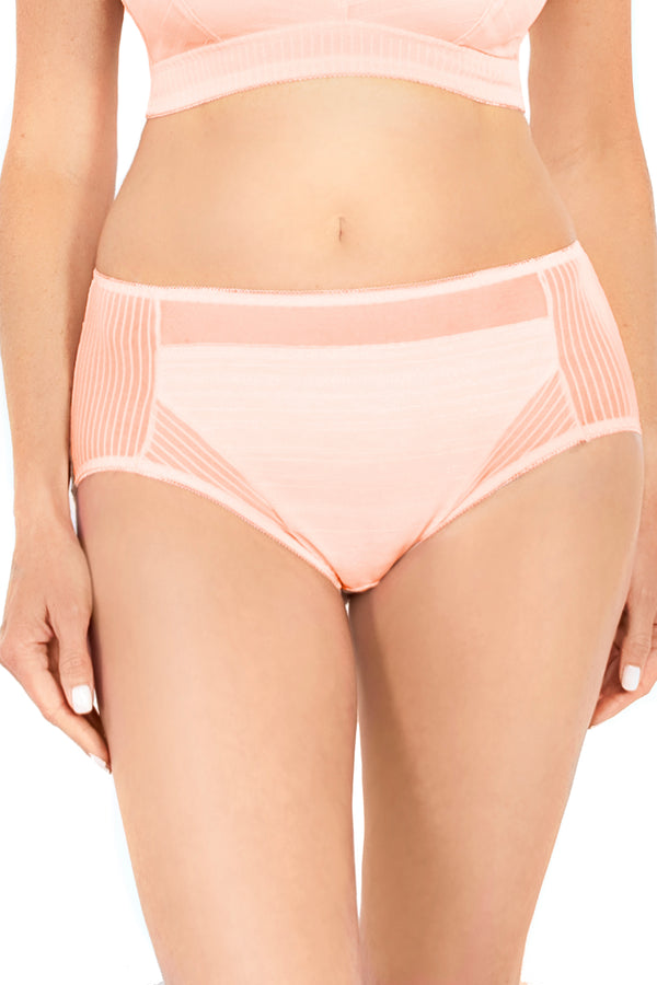 Rhonda Shear Striped Mesh Detail Brief - Final Sale