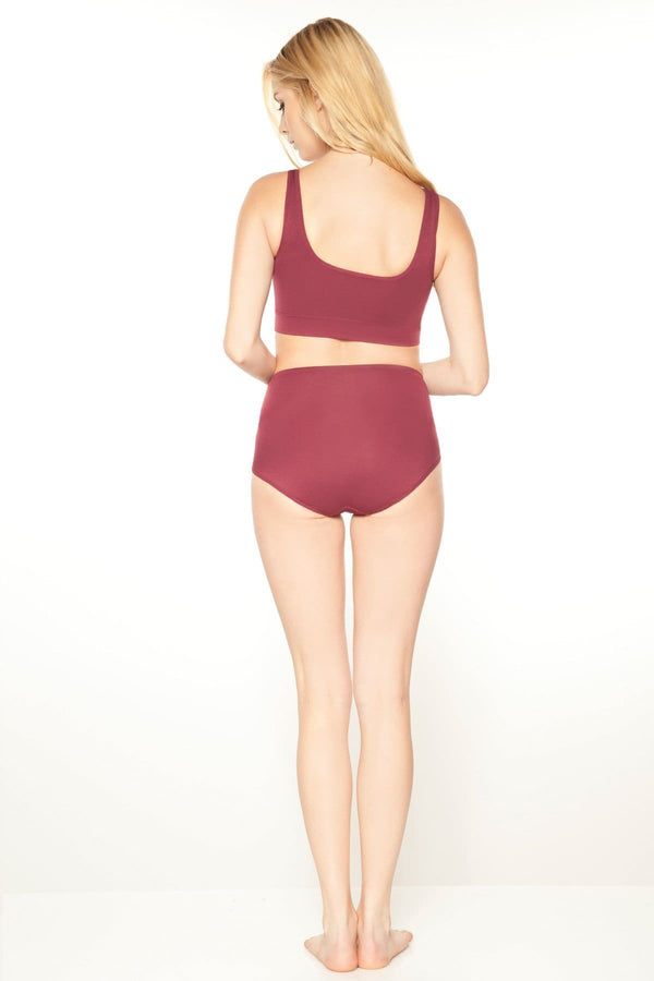 Rhonda Shear Seamless Brief With Lace Overlay : Sale Colors - Final Sale