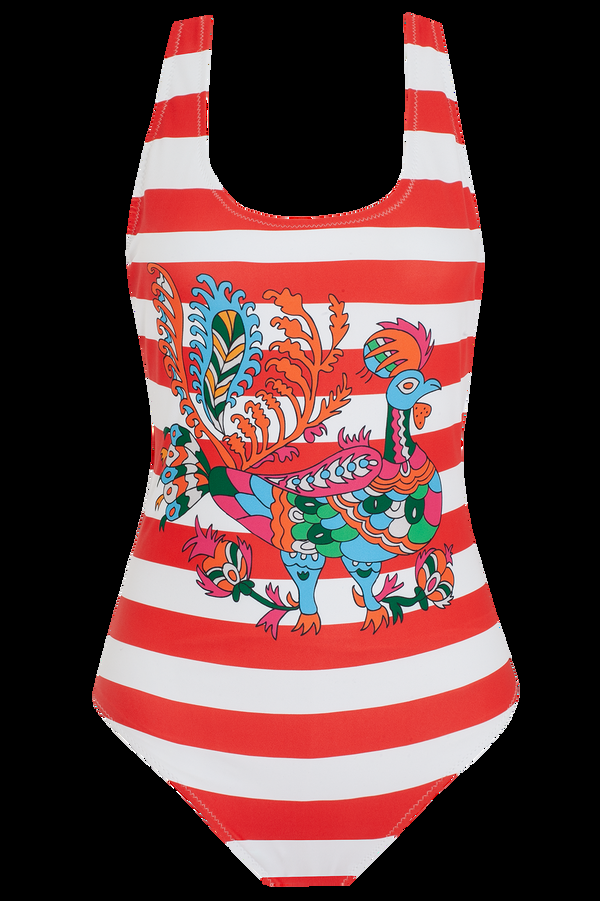 Rianna Nina Greek Swim Suit