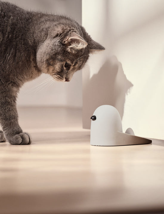 Rig Tig BOB Door Stopper