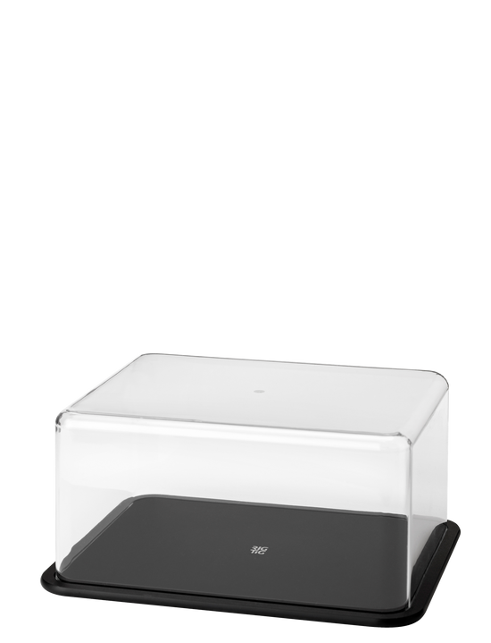 rig tig CONTAIN-IT cheese box