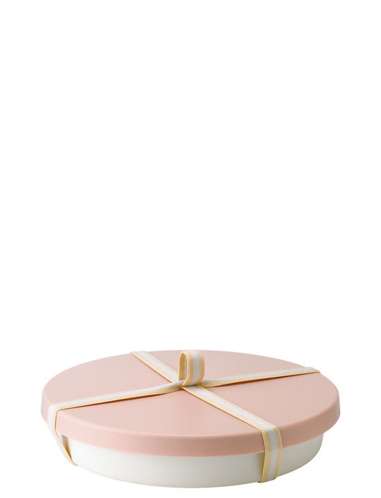 rig tig PICNIC cake pan with lid Ø 25 cm