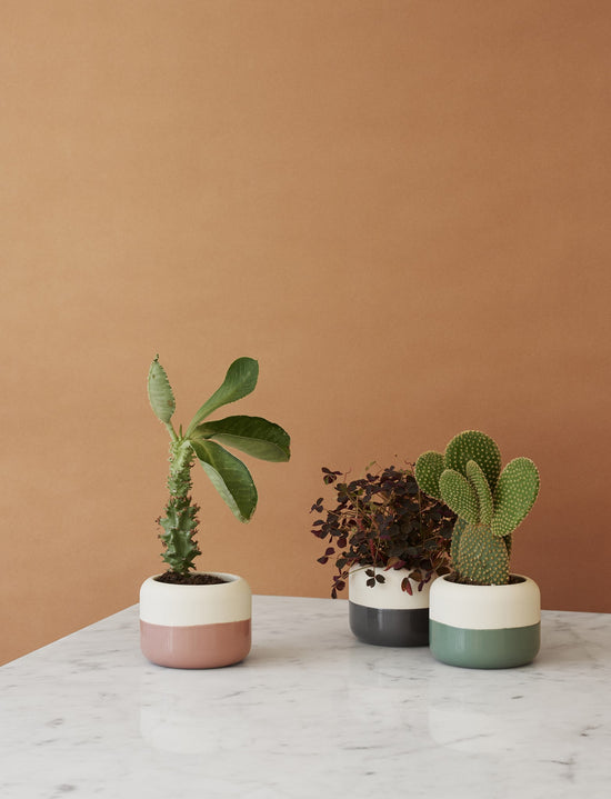 Rig Tig PLANT-IT Flowerpot