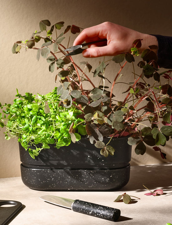 Rig Tig POT-IT Herb Organizer