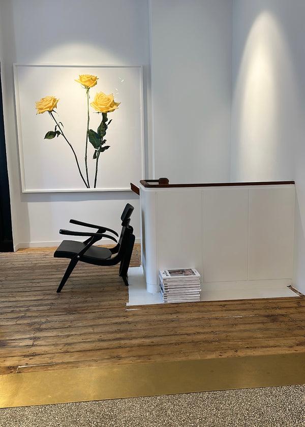 Rika Studios Inez And Vinoodh / 3 YELLOW ROSES 2013