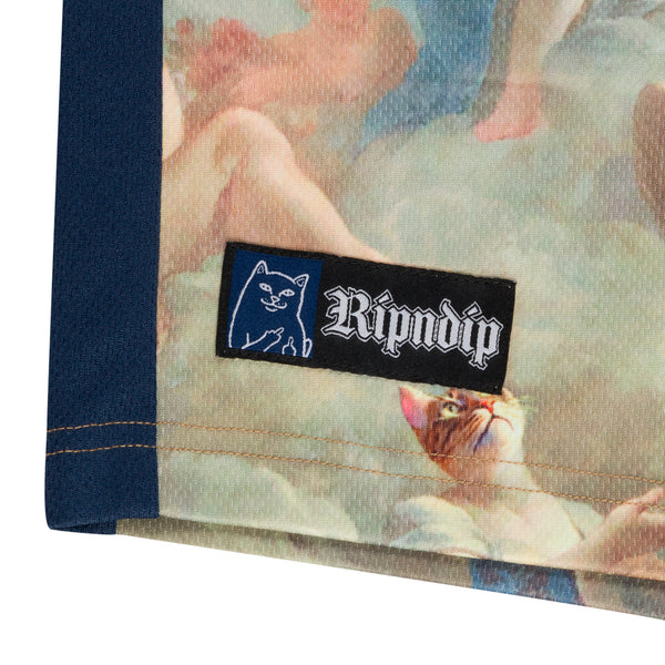 Ripndip Heavens Waiting Soccer Shorts (Navy Multi)