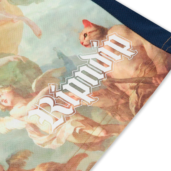 Ripndip Heavens Waiting Soccer Shorts (Navy Multi)